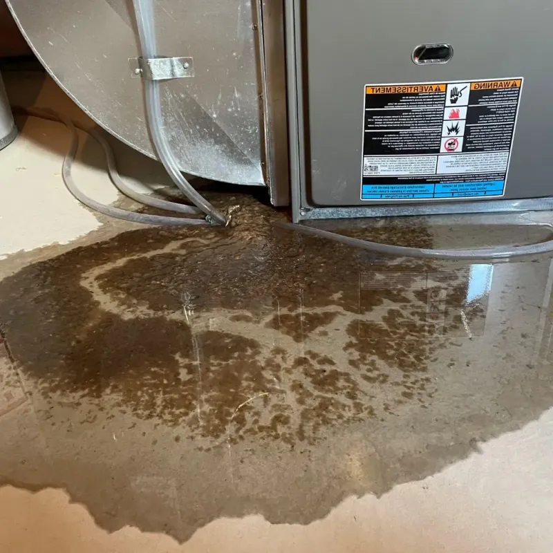 Pipe Burst and Leak Restoration in Darby, PA